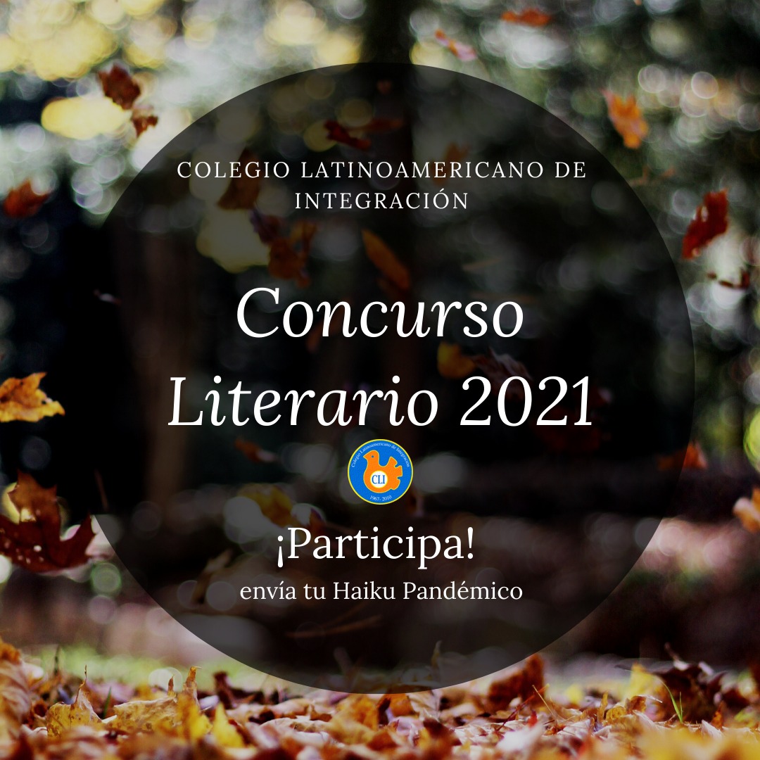 Concurso Haiku 1