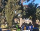villa grimaldi ciclo serpiente 001