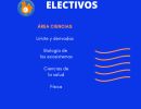 electivos 6